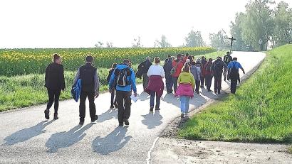 Bild: R. Kreuzer
Die Fußwallfahrer der Pfarrgemeinde St. Marien Rothenstadt auf dem Weg zum St. Quirin.