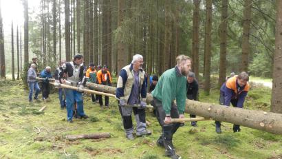 Bild: rn
Abtransport des Maibaums für Eschenbach zum Forstweg.
.