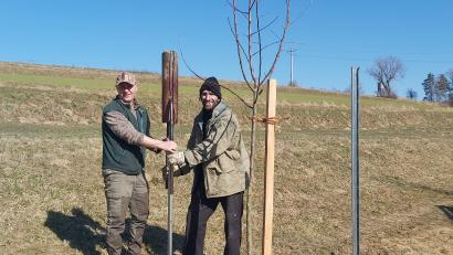 Bild: rn
Georg Karl (rechts) und Markus Stopfer pflanzten in der Apfelbacher Flur zirka 30 Obstbäume.