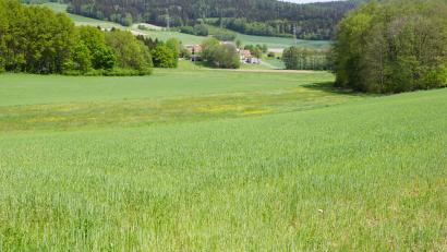 Bild: bkr
Ziel des Bauplans zur Geländeauffüllung ist es, die sich Richtung Döberein neigende Senke aufzufüllen. Darin enthalten ist auch das Erlenbruchwäldchen auf der rechten Bildseite. Der untere Waldsaum markiert dabei die Grundstücksgrenze. Der Landwirtschaft soll damit geholfen werden.