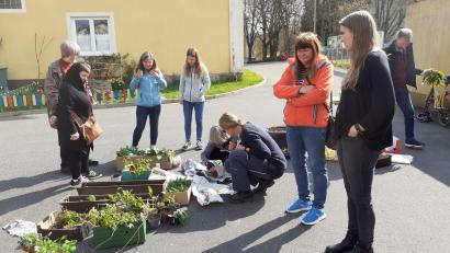 Bild: Monika Schneider/exb
Der Ortsverband von Bündnis 90/Die Grünen hat in Pechbrunn eine Pflanzentauschbörse organisiert.
