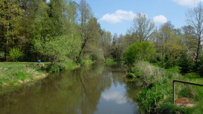 Bild: do
Für Wolfgang Witt ist das Wasser der Haidenaab existenzsichernd. Doch die aktuellen Pläne der Bundesregierung zur Änderung des Erneuerbare-Energien-Gesetzes sieht der Kleinkraftwerksbesitzer in Josephsthal bei Gmünd als ein „Worst-Case-Szenario“ speziell für kleine Anlagen, denen in den nächsten Jahren das "Aus" drohe.