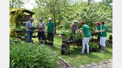 Bild: hcz
Hoch her ging es beim Pflanzentausch im Vereinsgarten des Obst- und Gartenbauvereins.