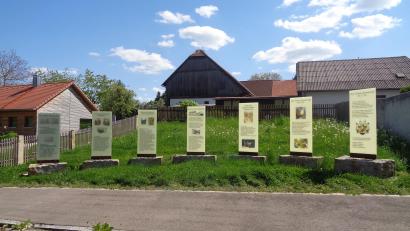 Bild: amö
Ein interessanter Streifzug durch die Heimatgeschichte ist auf sieben aussagekräftigen Stelen möglich.