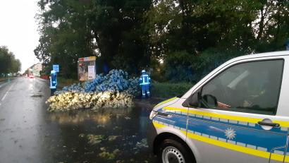 Bild: Kunz
Am Freitagabend musste in Weiden die Feuerwehr ausrücken, um in der Dr.- Martin-Luther-Straße einen umgefallenen Baum zu beseitig.