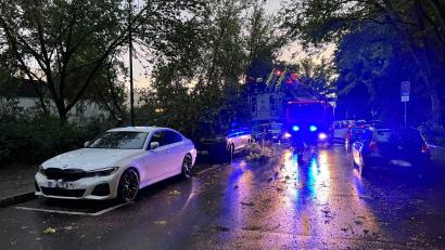 Bild: Eva Hinterberger
In Weiden ist ein Baum auf ein Auto gefallen.