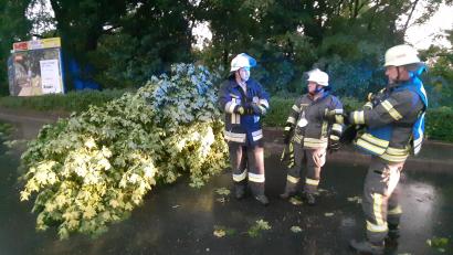 Bild: Kunz
Auch die Feuerwehr in der Oberpfalz - hier in Weiden - hatte wegen des Unwetters gut zu tun.