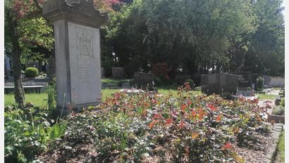 Bild: Kristin Winderl
Gegen Plätze für Urnengräber hier an der rechten sowie hinteren Seite der Bepflanzung um das Denkmal hat sich der Altendorfer Gemeinderat entschieden.