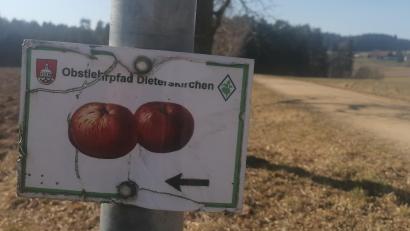 Bild: Winderl, Kristin [wrl]
Die Beschilderung am Obstlehrpfad in Dieterskirchen wird erneuert – und im Zuge dessen auch der Obstlehrpfad etwas aufgepeppt, zum Beispiel mit Attraktionen für Kinder.