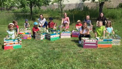 Bild: OGV Gunzendorf/exb
Klein und in der Kiste: Die Kinder des Gunzendorfer Obst- und Gartenbauvereins haben Mini-Gärten angelegt.
