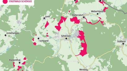 Grafik: Oberpfalz-Medien/Quelle: Landwirtschaftsamt Regensburg-Schwandorf
Auf der Karte sieht man die Flächen des Schönseer Stadtwalds rot eingezeichnet.