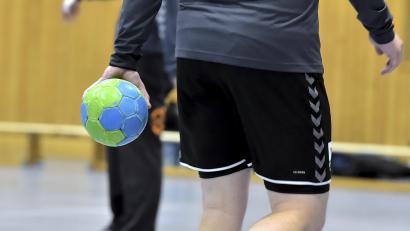 Symbolbild: Hubert Ziegler
Die Handballer treffen im Spitzenspiel der Play-downs auf den HC Forchheim.