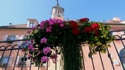 Bild: le
Blumenschmuck verschönert Floß.