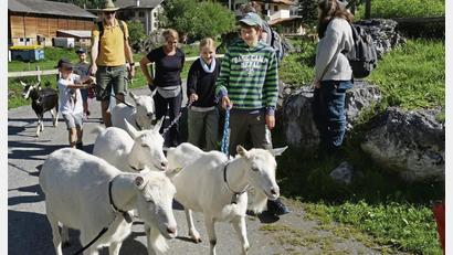 Bild: Geraldine Friedrich/dpa
Der Geißen-Spaziergang ist eines unter vielen Freizeitangeboten im Feriendorf.