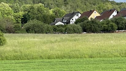 Bild: ige
Im künftigen Baugebiet Katzenberg soll die angrenzende Streuobstwiese unbedingt erhalten werden, fordern Grüne und Umweltschützer.