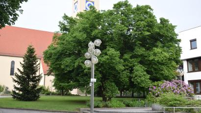 Bild: bnr
Auf der Grünfläche zwischen Rathaus und Marienkirche soll ein neuer Spielplatz entstehen.Der Bauausschuss gab dafür grünes Licht.