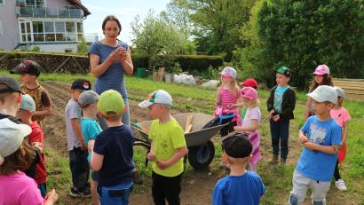 Bild: Kindergarten St. Rita/exb
Falkenberger Kindergartenkinder informierten sich und halfen am Kartoffelacker von Familie Siller.