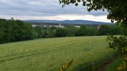Bild: bnr
Die Erschließung des Baugebietes "Am Köblitzbach" in Oberköblitz wird mit Hochdruck voran getrieben.