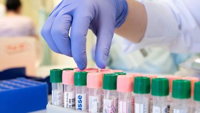 Symbolbild: Sebastian Kahnert/dpa-Zentralbild/dpa
Labormitarbeiterinnen etikettieren im Medizinischen Labor Ostsachsen Corona-Abstriche zum Virusnachweis mit der PCR-Methode.