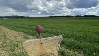 Bild: Matthias Bäumler/fph
Angrenzend an das Waldershofer Gewerbegebiet „Nördlich der Bahnlinie Nürnberg-Eger“ (oben links) und gegenüber von Scherdel-Logistik (oben rechts) soll das Gewerbegebiet entstehen.
