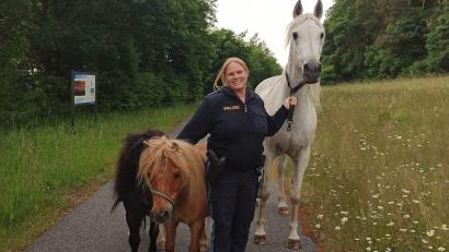 Bild: PI Eschenbach/exb
Alles im Griff hat die Polizistin der Inspektion Eschenbach. In diesem Fall konkret drei Ausreißer-Pferde.