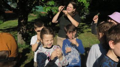Bild: jzk
Kräuterpädagogin Cornelia Müller öffnete den Zweitklässlern die Augen für die Pflanzen im Kemnather Schulgarten.