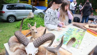 Bild: usc
Zum Erwerb eines Jäger-Diploms galt es nicht nur ausgestopfte Tiere im angrenzenden Wald zu entdecken, sondern auch einen Wissentest zu bestehen.
