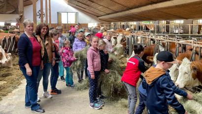 Bild: fpoz
Die Kinder waren mit Begeisterung dabei, die Kühe auf dem Erlebnisbauernhof von Irmgard Zintl mit Heu zu versorgen.
