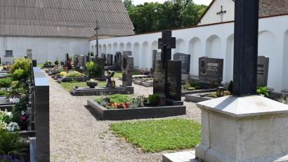 Bild: bnr
Die Abfallentsorgung und mögliche Standorte für Urnenerdgräber waren die Themen, die der Pfreimder Bauausschuss bei einem Vor-Ort-Termin besprach.