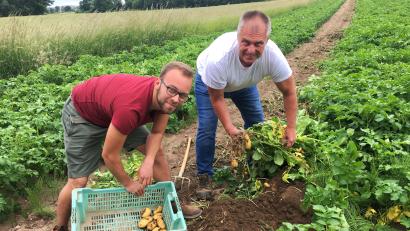 Bild: ihl
Frühkartoffeln Kartoffelanbauer Hösl Christof Hösl Mathias Hösl