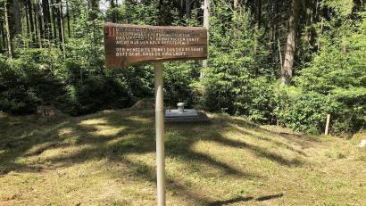 Bild: wro
Versorgt wird Fuchsmühl auch mit Wasser aus dem "Steinernen Brünnerl" im Naturpark Steinwald. Die Quelle lieferte im vergangenen Jahr 46.652 Kubikmeter und damit den Großteil des benötigten Wassers.