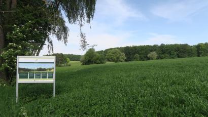 Bild: Verena Baumer/exb
Wer auf der Hirschparkrunde (U5) wandert, kann die Panoramatafel in der Nähe der Finsterhüll bei Zant finden. Der Aussichtspunkt bietet eine gute Gelegenheit, den Blick in die Ferne schweifen zu lassen, die Panoramatafel informiert über das Umfeld.