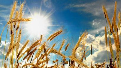 Bild: Karin Wilck
Ab Samstag müssen wir uns auf drei bis vier Tage mit Temperaturen an die 35 Grad gefasst machen, sagt Wetterexperte Andy Neumaier. Die Temperaturen könnten für den Monat Juni an den Allzeitrekorden kratzen.