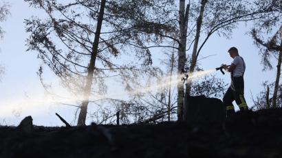 Symbolbild: Matthias Bein / dpa
Um Szenen wie diese zu vermeiden, gibt es in der Oberpfalz in den nächsten Tagen Waldbrandluftbeobachtungen.
