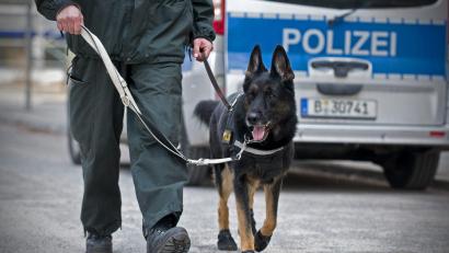 Symbolbild: Jan-Philipp Strobel/dpa
Mit Hunden wurde das Schulgelände in Ebersdorf durchsucht.