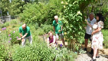 Bild: hcz
Stadtgartenmeister Thomas Huber, Kreisfachberaterin Maria Treiber und Vorsitzender Klaus Fischer (von links) führen Besucher durch den Vereinsgarten des Obst- und Gartenbauvereins.