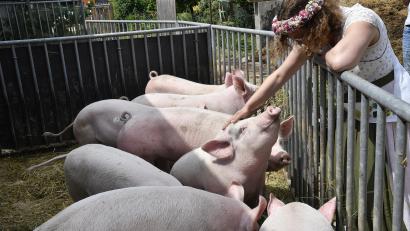 Bild: Petra Hartl
Annalena Brams, die bayerische Bio-Königin, war zu Besuch auf dem Biohof Kunert in Erkelsdorf (Neukirchen/Landkreis Amberg-Sulzbach).