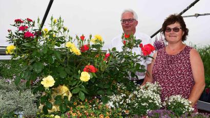 Bild: no
Claudia und Udo Füssel freuen sich auf zahlreichen Besuch beim Rosenfest am Sonntag.