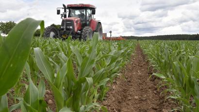 Bild: Petra Hartl
Auf dem Feld von Florian Weiß war vor kurzem ein Lohnunternehmer, der den Acker mit seinen Gerätschaften umhackte. Ein bis drei Hektar schafft der Fahrer in der Stunde.