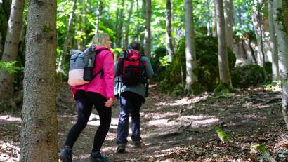 Bild: Carolin Thiersch Photography
Der Hirschbach-Rundwanderweg bietet interessante Natur-Eindrücke.