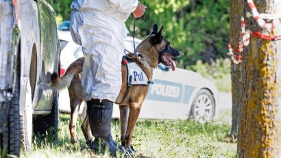 Bild: Matthias Balk/dpa/Archivbild
Ein Leichenspürhund wartet auf seinen Einsatz.