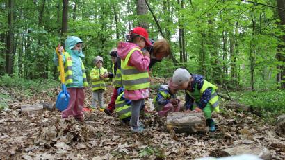 Bild: u
Allerhand zu entdecken gibt es für die Kinder des St.-Wolfgang-Kindergartens während ihrer Waldwoche, die sie in ihrem Waldquartier am Kalvarienberg verbrachten.