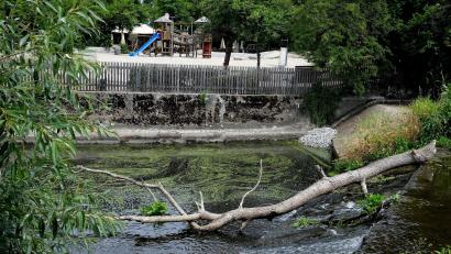 Bild: Hirsch
Rund um das Tivoli-Wehr der inneren Naab will die Stadt die Aufenthaltsqualität verbessern. Auch der Spielplatz im Stadtpark (Hintergrund) soll aufgewertet werden.