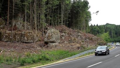 Bild: ll
Die Bayerischen Staatsforsten haben einige faule Fichten an der B 85 auf der Höhe Maximiliansgrotte gefällt.