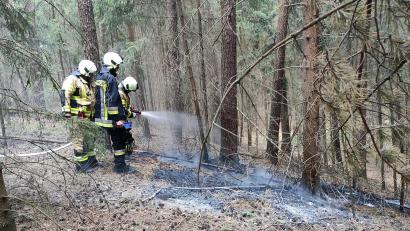 Bild: lgc
Feuerwehrmänner halfen dabei, den potenziellen Waldbrand bei Naslitz zu löschen.