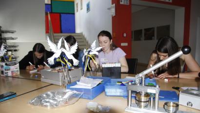 Bild: Andrea Ruhland-Birner/exb
Sommerfest der Wirtschaftsschule