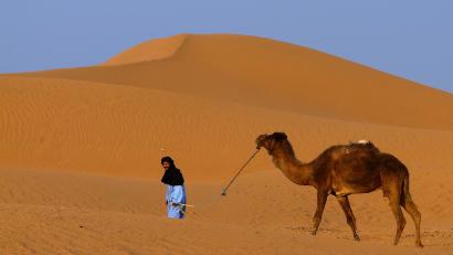 Bild: exb/Johann Albrecht
Fotoclubmitglied Johann Albrecht ist von der Sahara begeistert. Hier ist ein Tuareg ist mit seinem Kamel unterwegs.