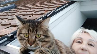 Bild: mzi
Kater Barssik freut sich, in Sulzbach-Rosenberg wieder mit seinem Frauchen Irina Galensovskaya zusammen zu sein.