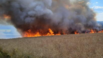 Bild: Kreisbrandinspektion/exb
Die Rauchsäule war schon von weitem zu sehen. Das Feuer hatte sich rasend schnell ausgebreitet.