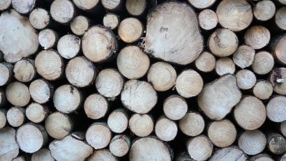 Symbolbild: jut
Die Baugenehmigung für einen Holzlagerplatz bei Eslarn ist im Marktgemeinderat umstritten. In der jüngsten Sitzung stimmte eine Mehrheit dafür, die bislang ablehnende Haltung aufzugeben. Das Landratsamt Neustadt/WN will die Genehmigung unter bestimmten Auflagen erteilen.